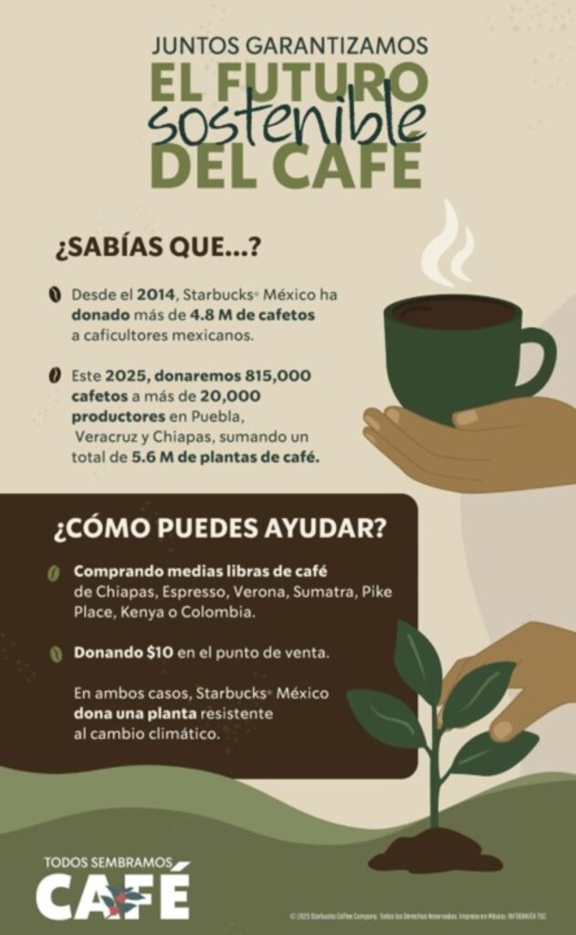Todos sembramos café