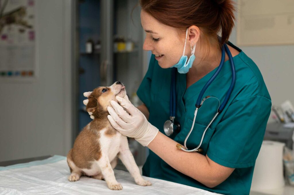Joven convive con su mascota mientras recibe atención veterinaria en una clínica especializada en pet care.